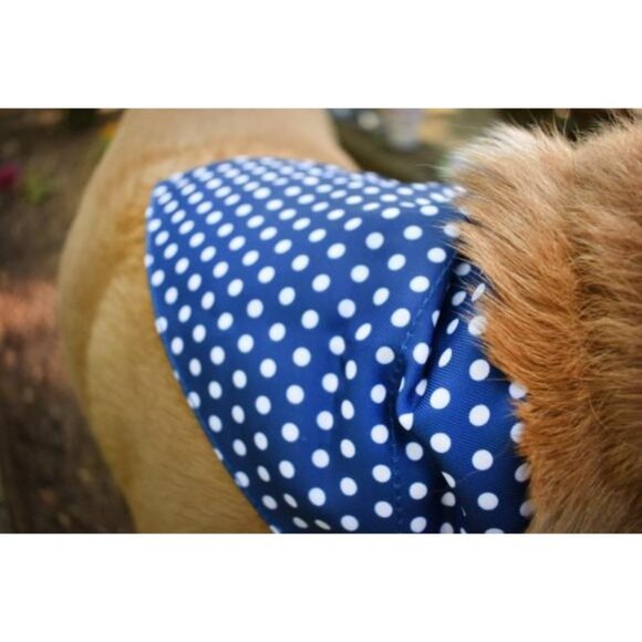 Play 365 Blue Pet Bandana. Blue Polka Dot Dog Bandana. Size: One Size. New! - Picture 3 of 3